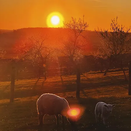 Le Beeel Endroit Holiday home Gelucourt