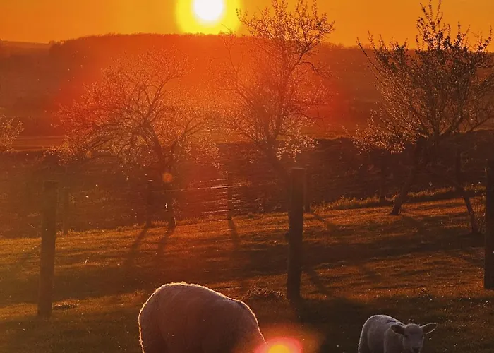 Le Beeel Endroit Holiday home Gelucourt